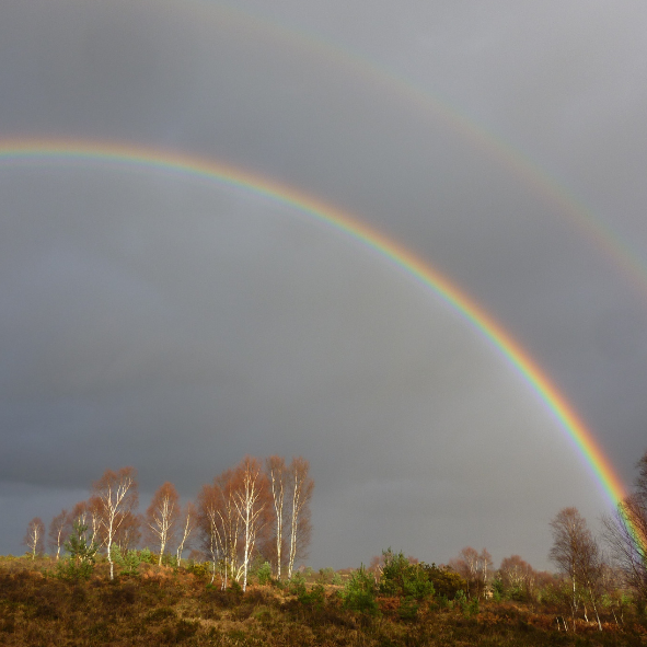 Photo of a rainbow over a heathland landscape